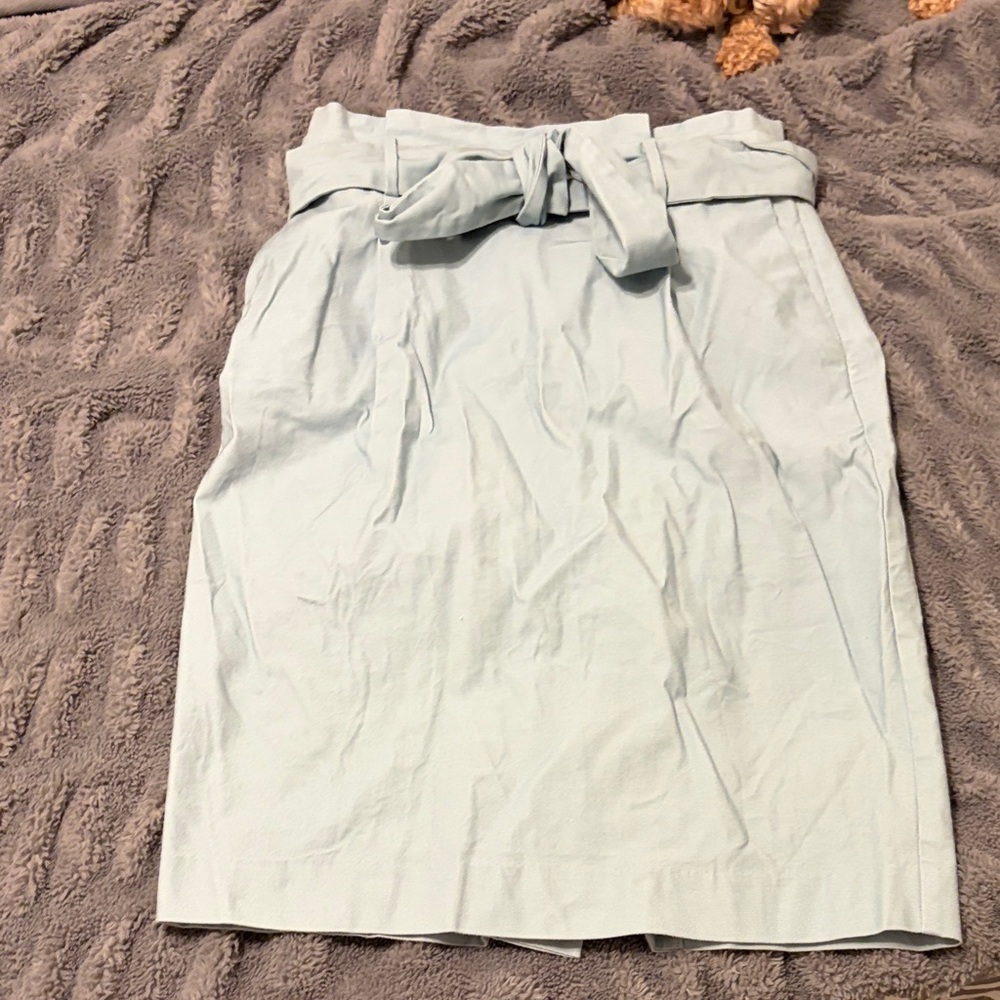Elegant Light Blue Women's Skirt